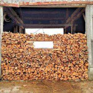 Lou's Cutting Edge Tree Service