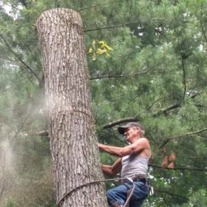 Arbor Barber Tree Service (BUSINESS CLOSED)