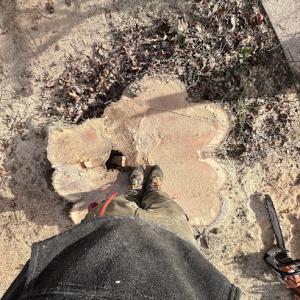 Earth & Lumber Tree Service