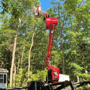 Treeco Solutions - Expert Arborist