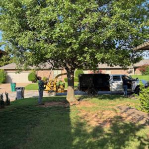 Sam's Tree Service & Stump Grinding