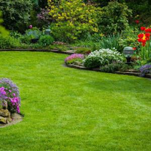 Luv-A-Lawn & Pest Control