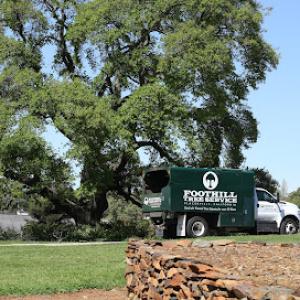 Foothill Tree Service