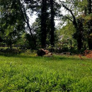 WoodFellas Tree Service