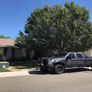 Elk Grove Tree Service
