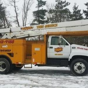 BAM Tree Service