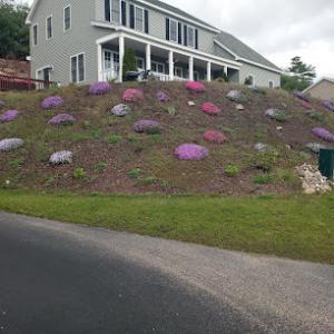 Indian Hill Snow Removal & Property Care