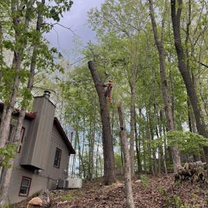 Explicit Land & Tree Service