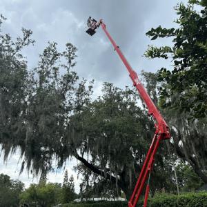 JDW Outdoors Tree & Land Services