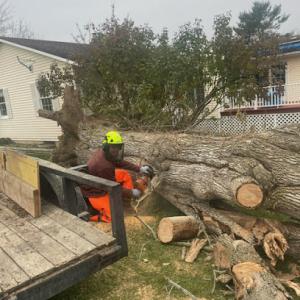 Roth & Reid Environmental Solutions