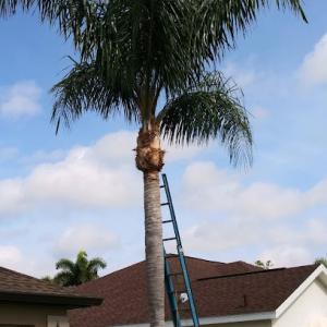 J&B Tree Service Venice