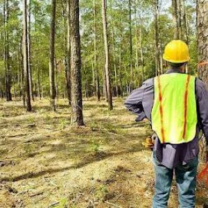 Tree Doctor USA - Tree Health Care Service