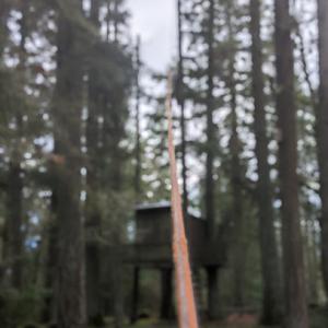 Shaeffer Tree Solutions