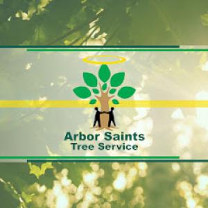Arbor Saints