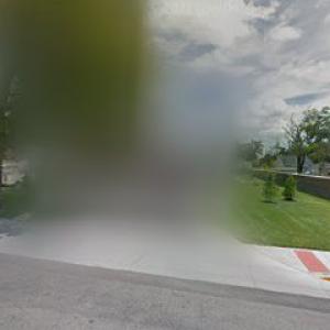 WoodChuck Tree Service