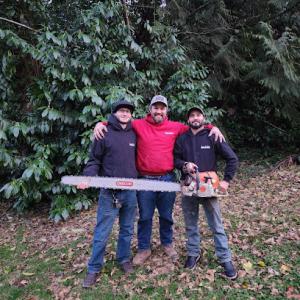 Sauve & Sons Tree Work