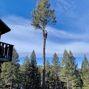 Blue Sky Fire Mitigation