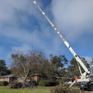 Emergency Tree Service