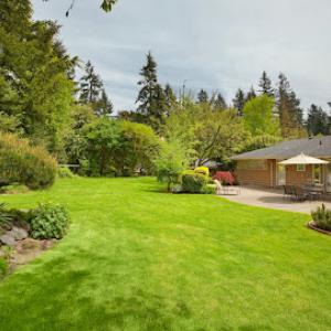 ArboRx Tree Specialists