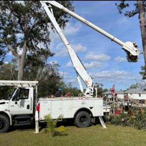 Langford Tree Service