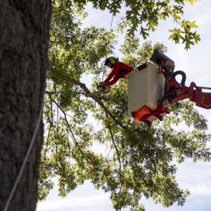 Cook Outdoor Contracting