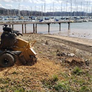 STUMP PRO STUMP REMOVAL (Stump Grinding)