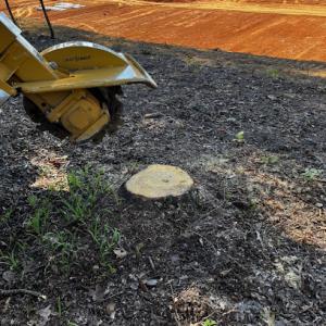 Knoxville Stump Grinding