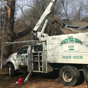 Low Rate Tree Service