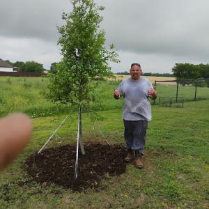 FRUITFUL TREE NURSERY & landscape design.