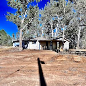 Precision Tree Warks