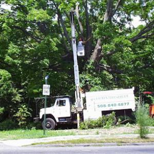 Mc Cracken Tree Service