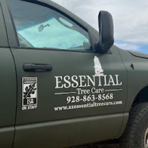 Essential Tree Care