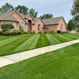 Warren’s Lawn Maintenance