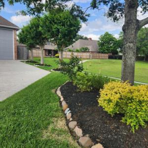 Fallen Branches - Trees & Lawn Care