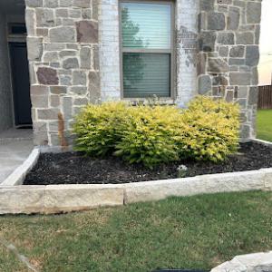 Whitfield Lawn & Tree Service
