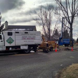 Diamond Tree Company