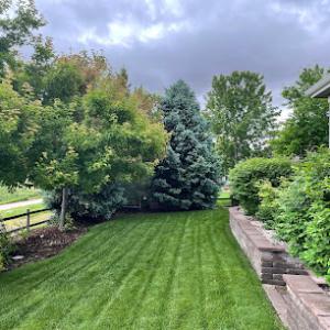 High Plains Tree & Landscape Services