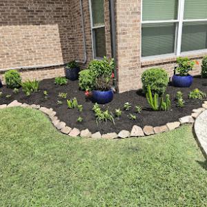 Serrano's lawn Service