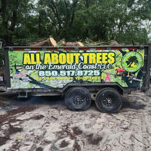 All About Trees On The Emerald Coast