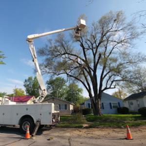 S & A Tree Service Fort Wayne
