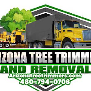 Arizona Tree Trimming & Removal Scottsdale