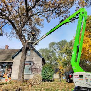 ATS Tree & Outdoor Services