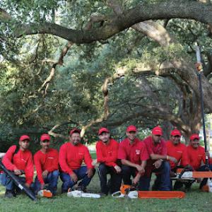 Simpsons Tree Service