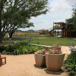 Yellowstone Landscape