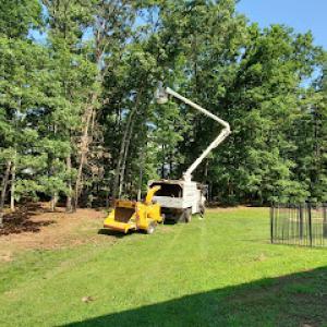 Smittys Tree Service