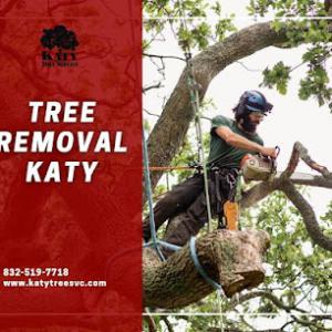 Katy Tree Service