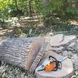 The Barefoot Tree Company