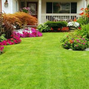 The Flower Station & Landscape Solutions