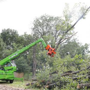 West Tree Service