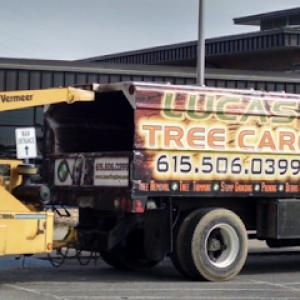 Kenny Lucas Tree Care